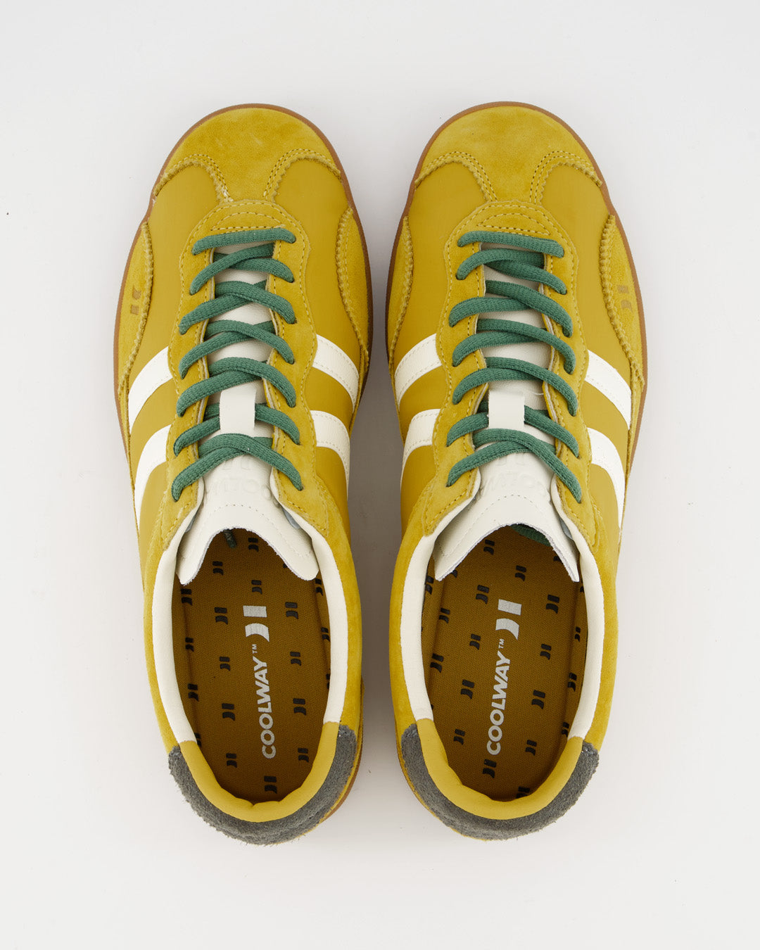 Kizuna Yellow Mellow