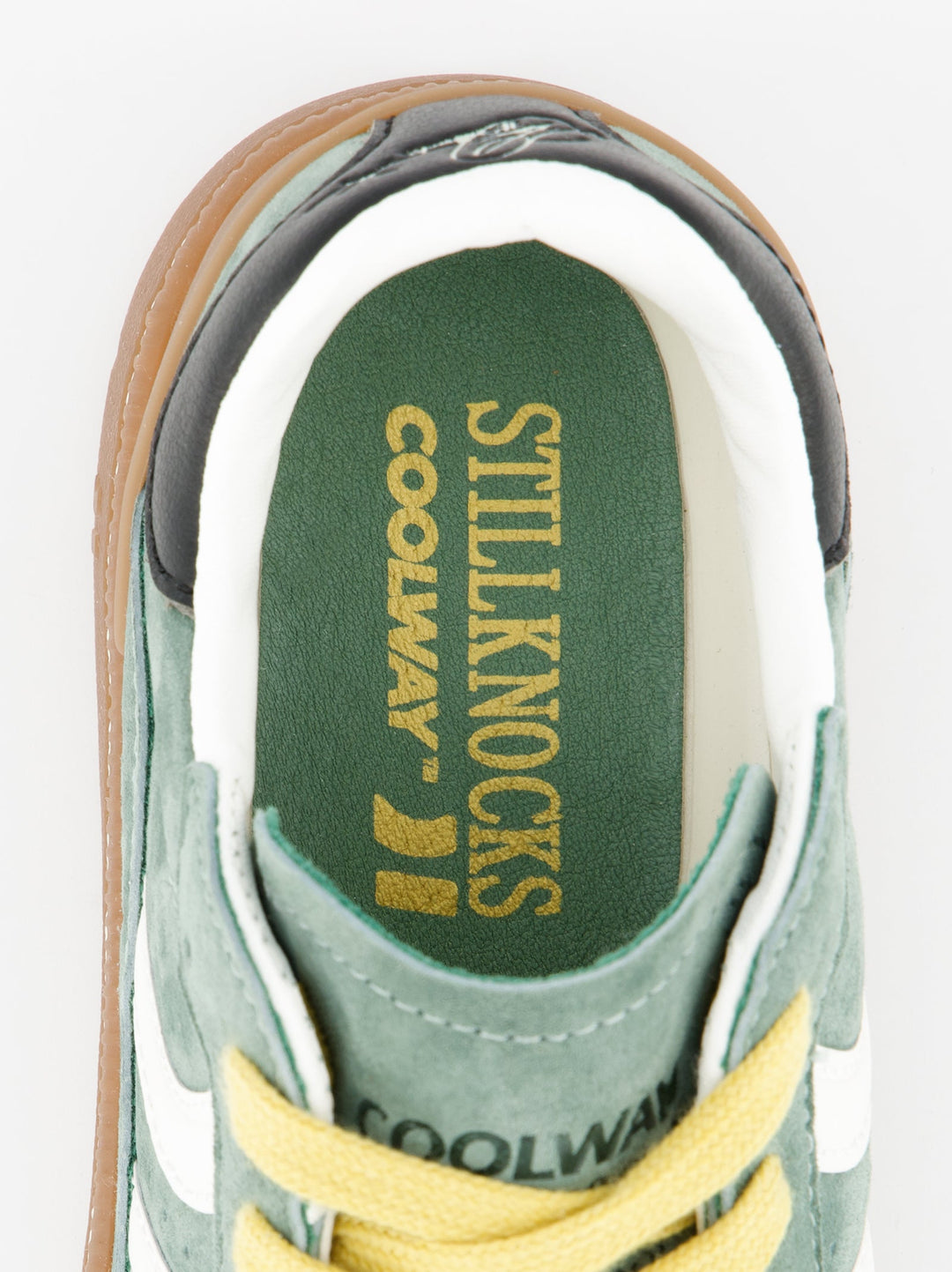 Goal Knocks Cactus